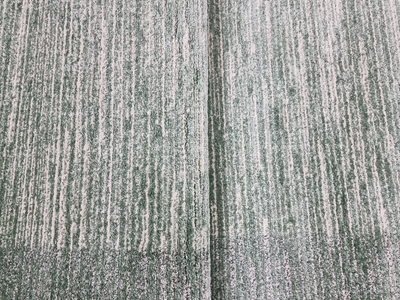 Celine 791 GREEN / L.GREY