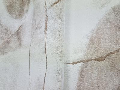 NIRVANA 2780 MINK/CREAM