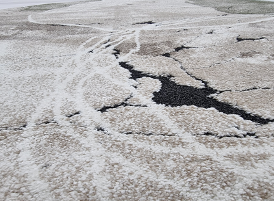 NIRVANA 2784 GREEN/CREAM