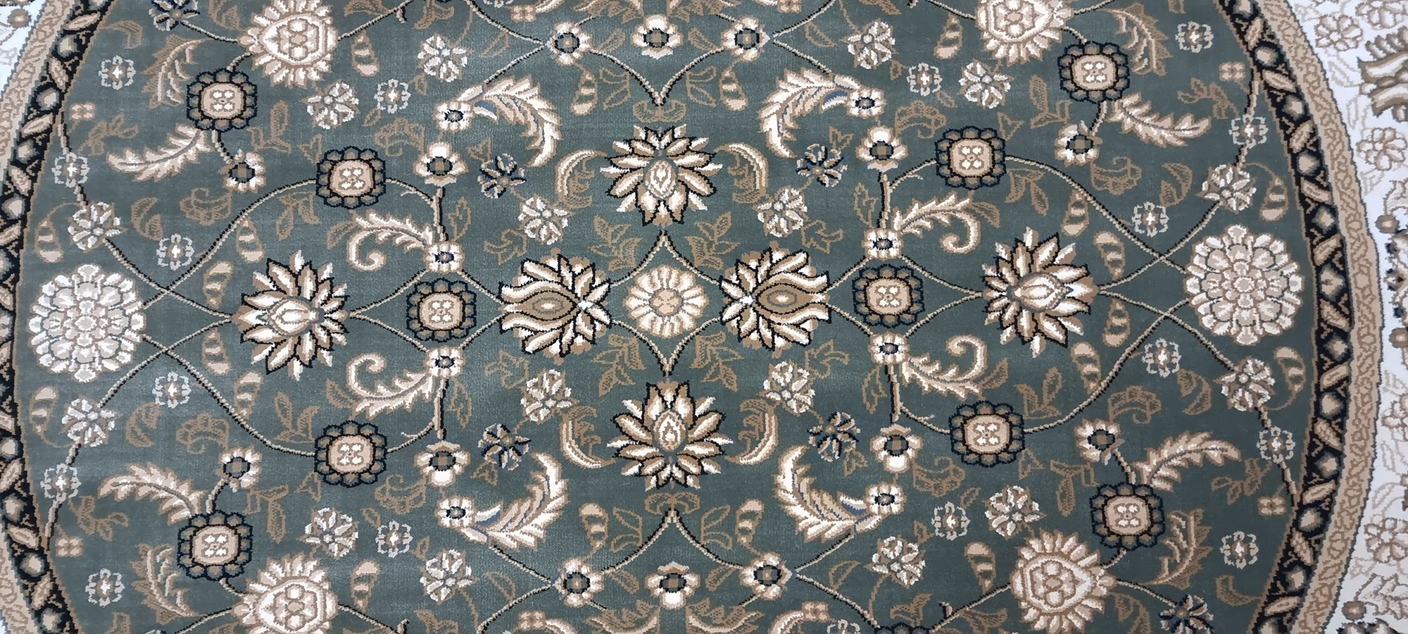 Sultan 281 GREEN/GREEN (Round)