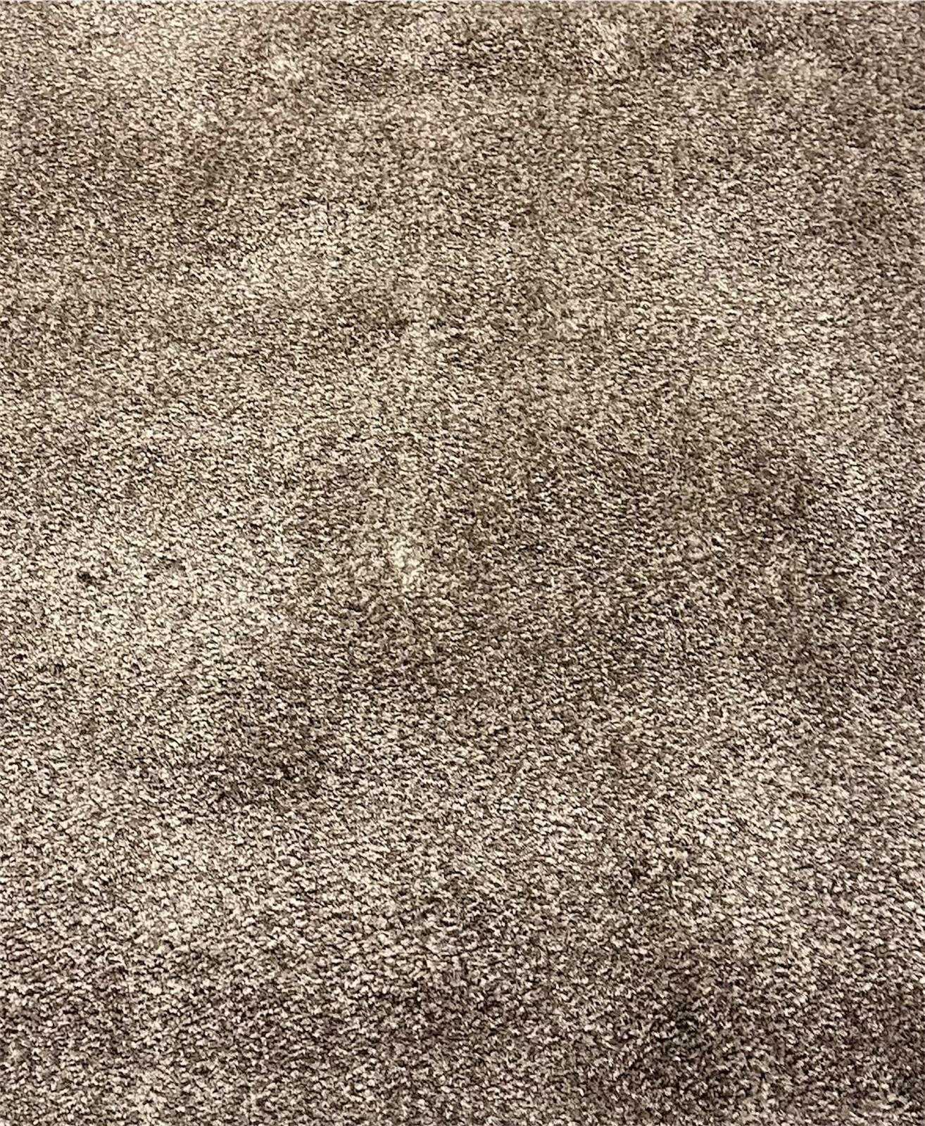 Taupe rug in living area