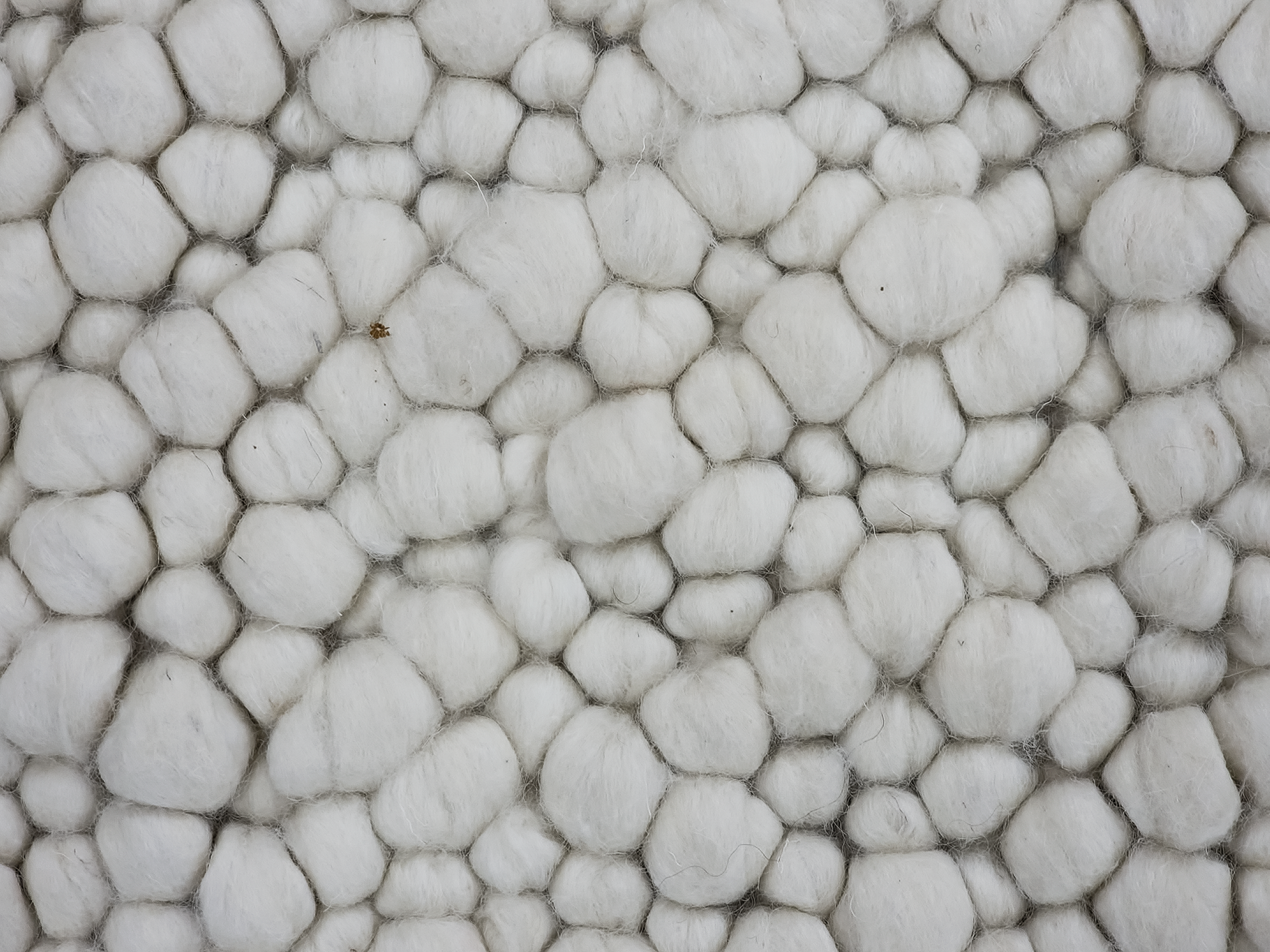 Fish eye -Vanilla (Wool rug)