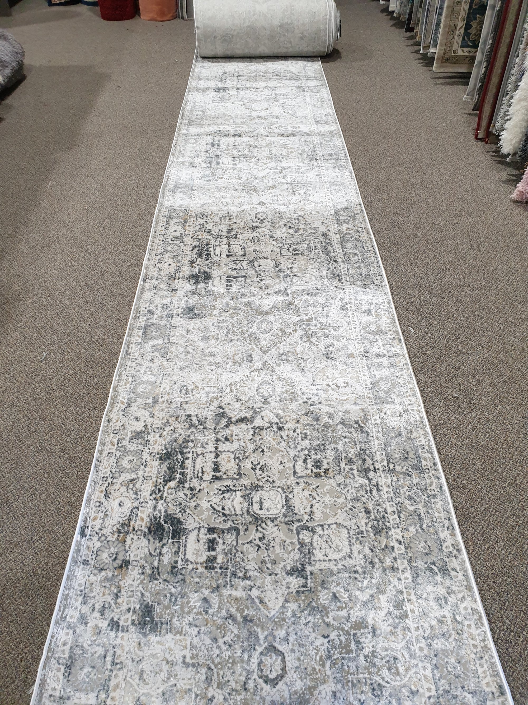 Divine 0079 Silver/Silver