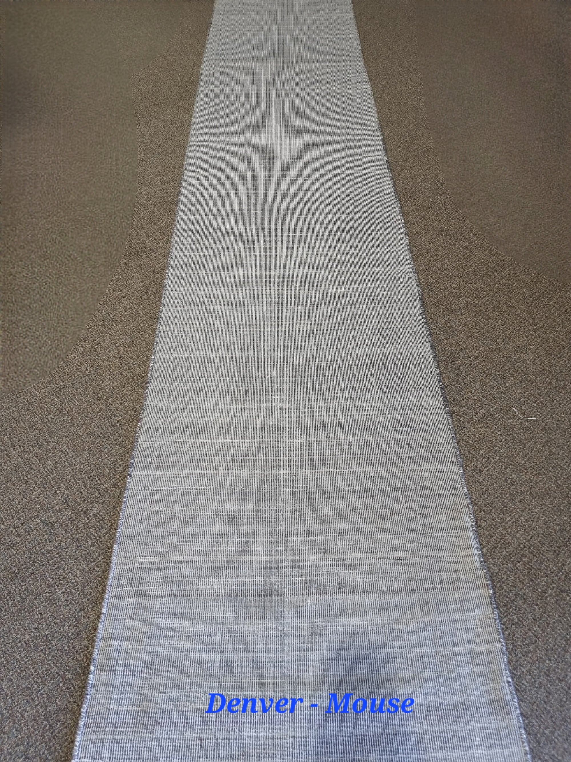 Denver Mouse (Indoor/Outdoor)