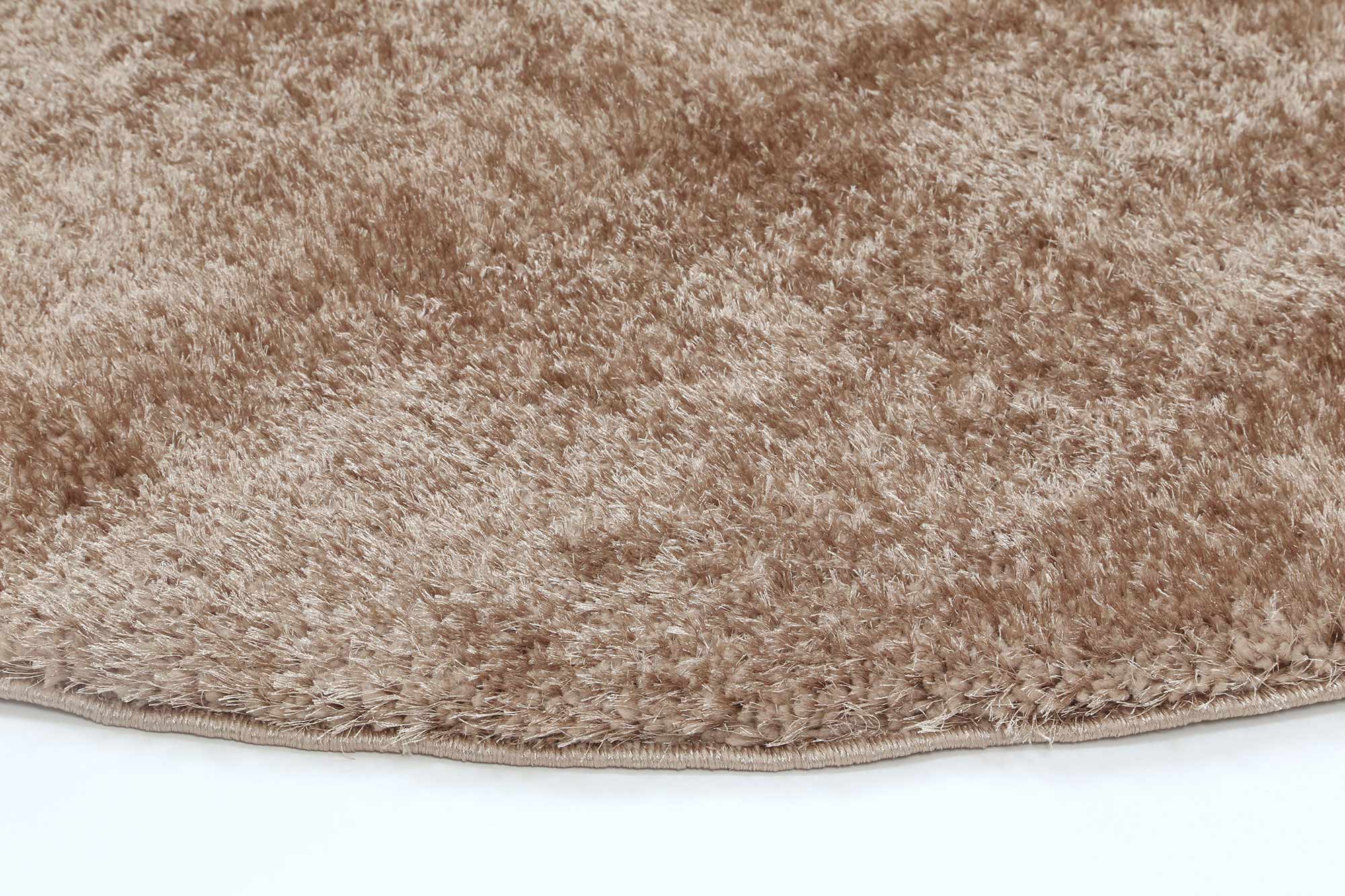 Fluffy Shaggy Camel