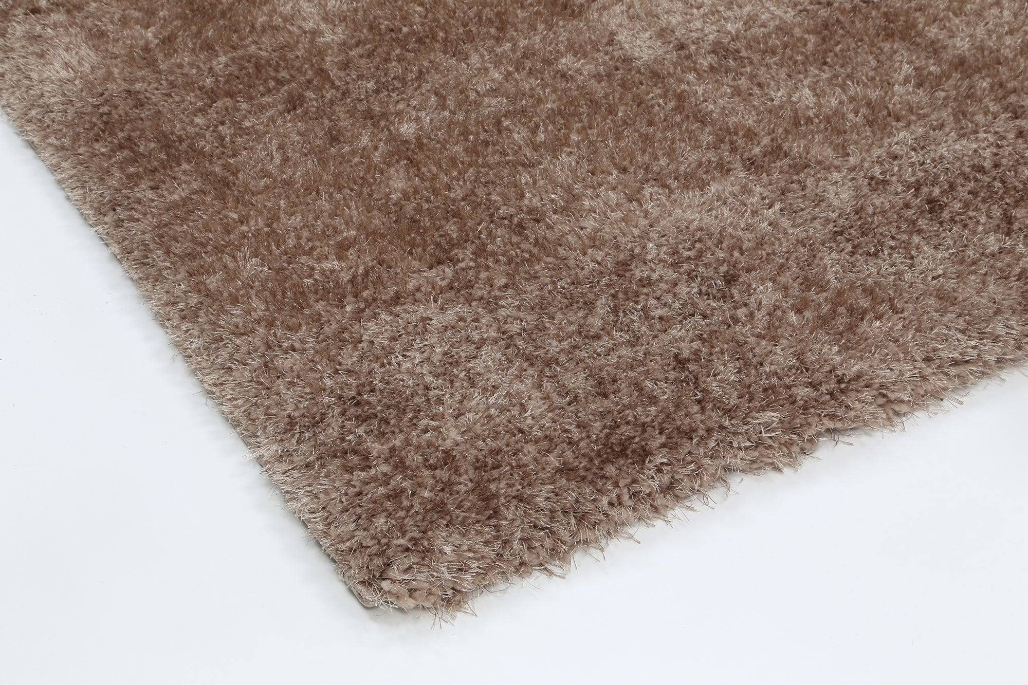 Fluffy Shaggy Camel