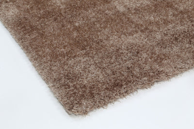 Fluffy Shaggy Camel
