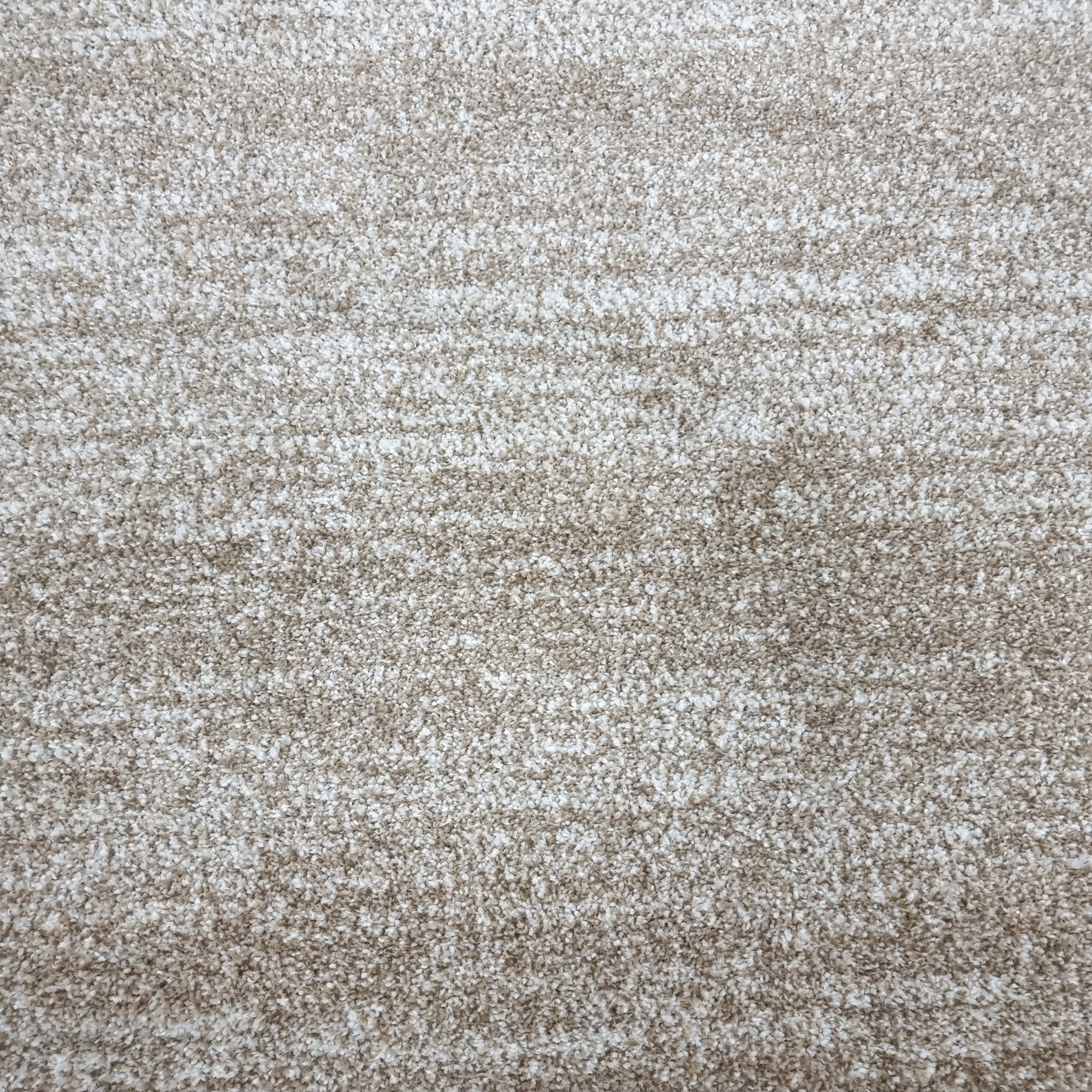 Bonita 882 Beige/Cream