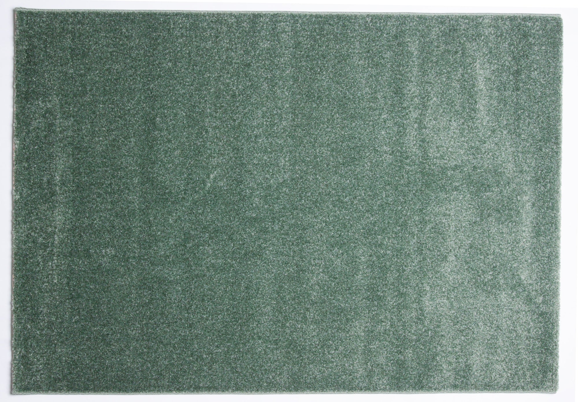 Frisee Plain Green