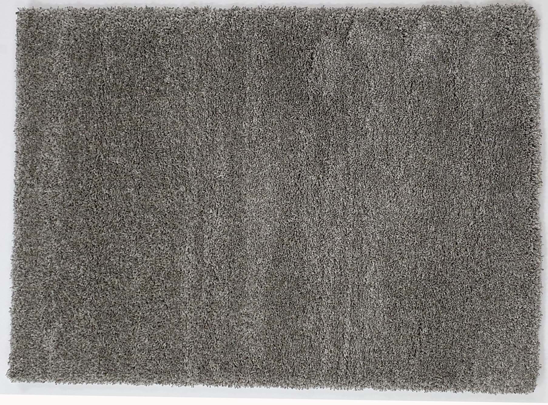 Twilight shaggy Grey