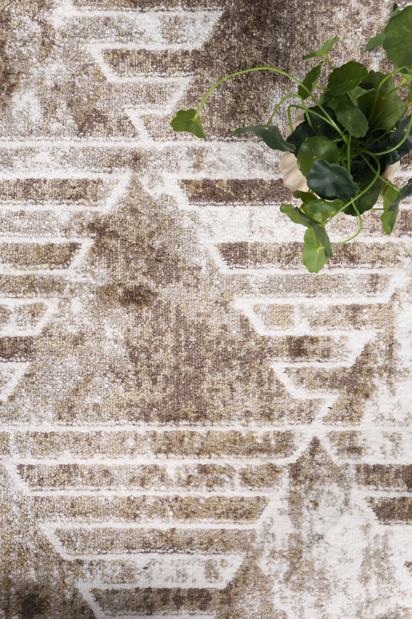 KIMBERLEY KIMB 4 LATTE