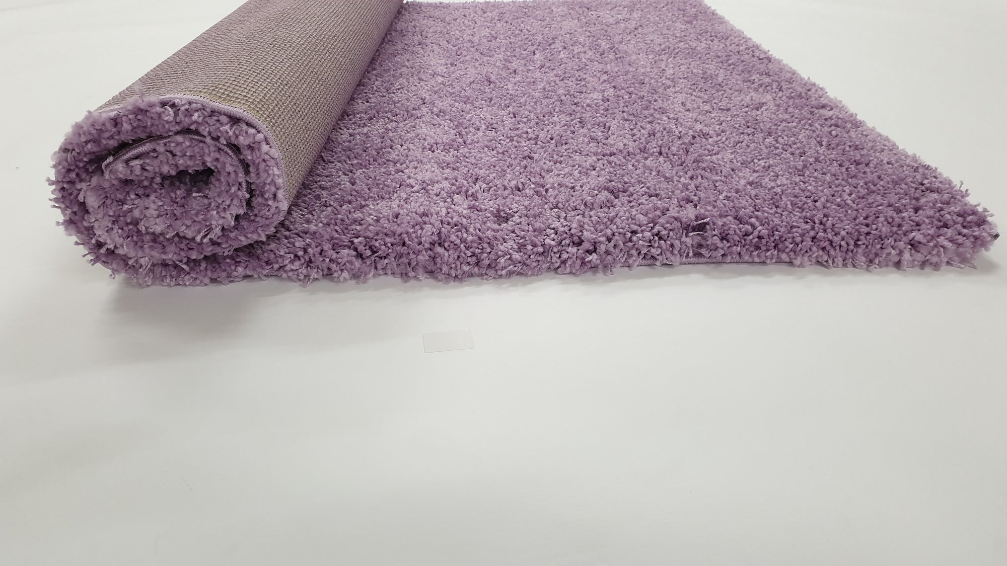 Twilight shaggy Lilac