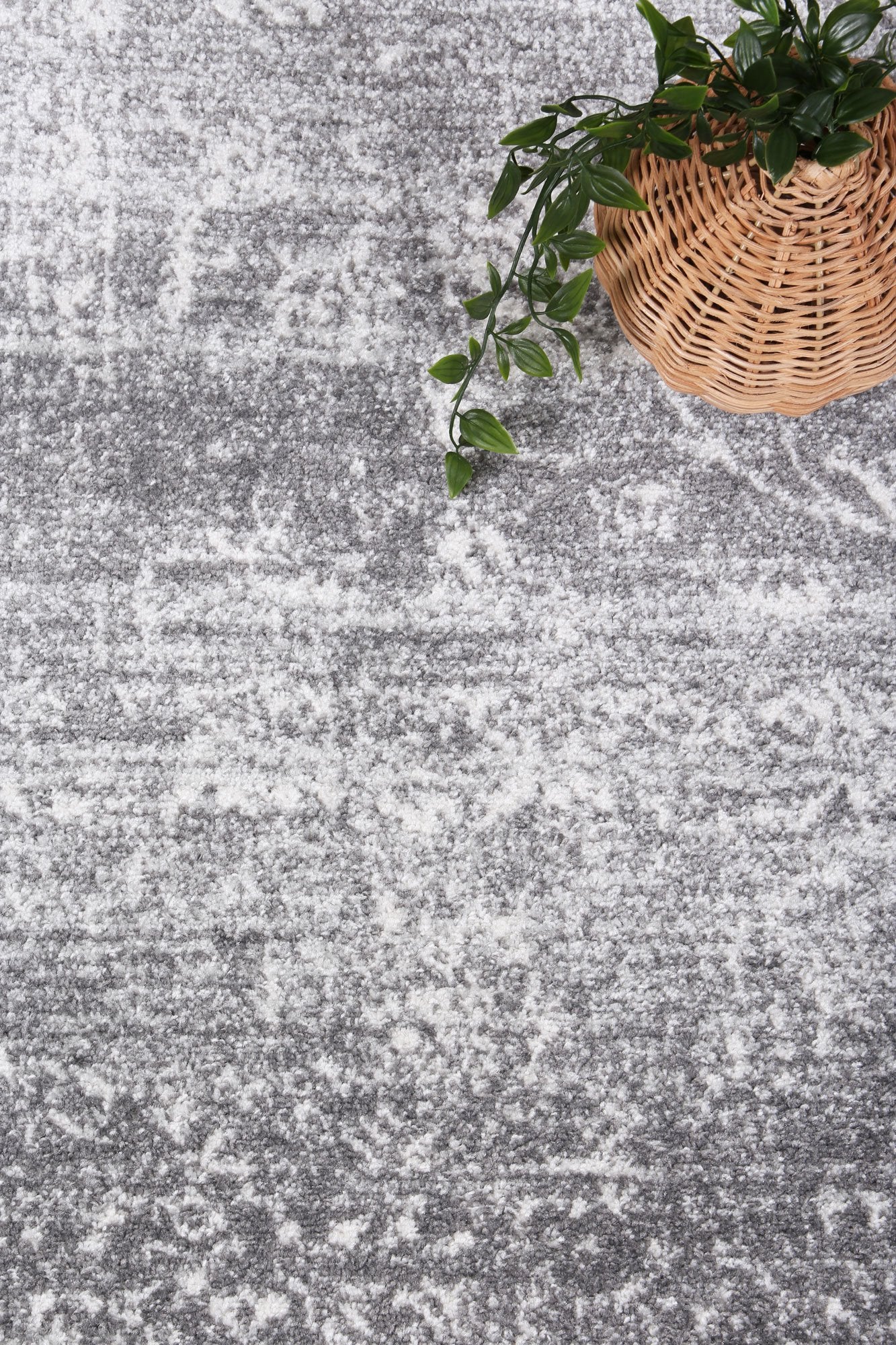 Provence 15 Grey Transitional