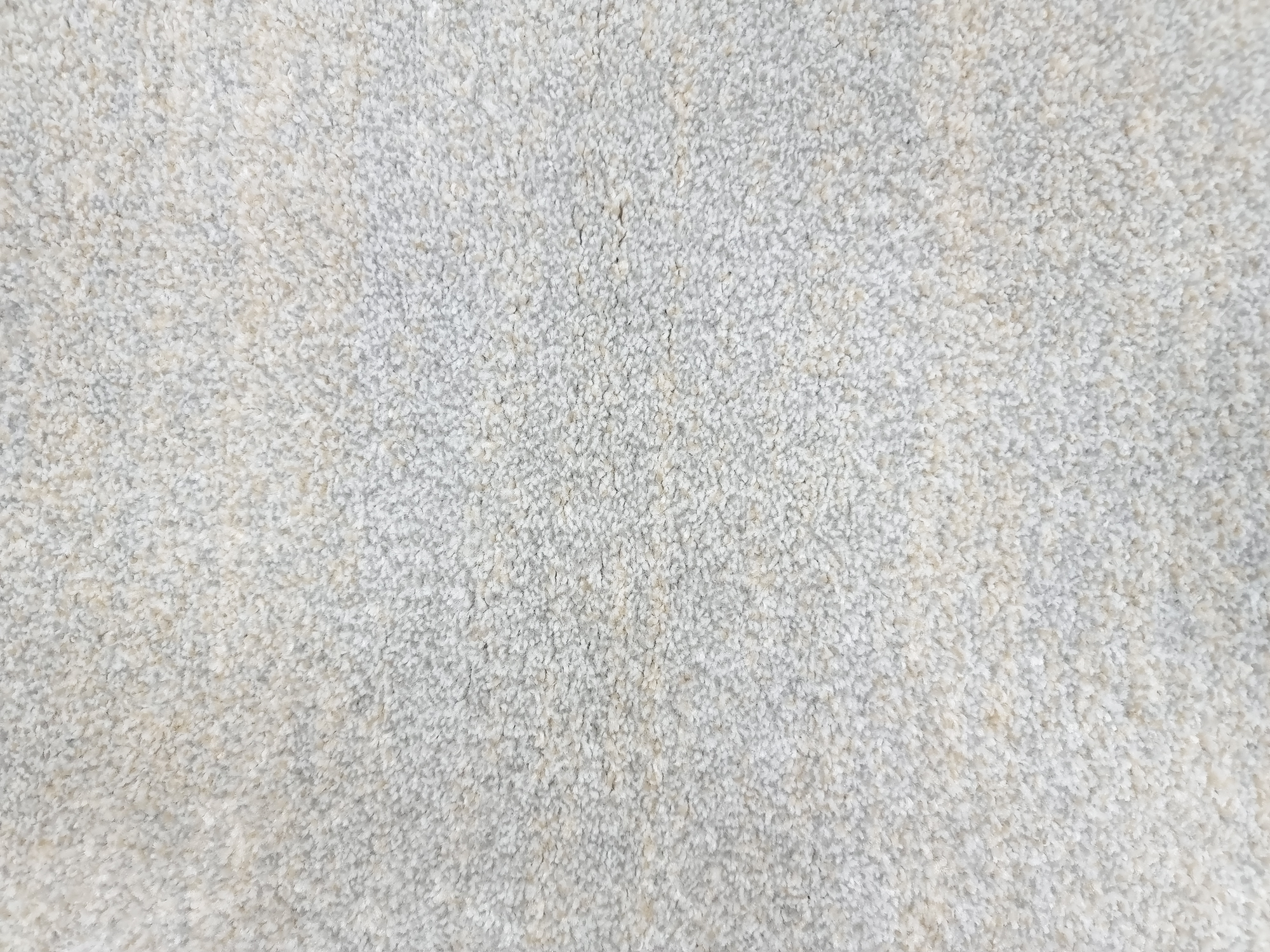 Bonita 882 L.Grey/Cream