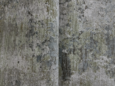 ROSALIE LS459C LIGHT GRAY