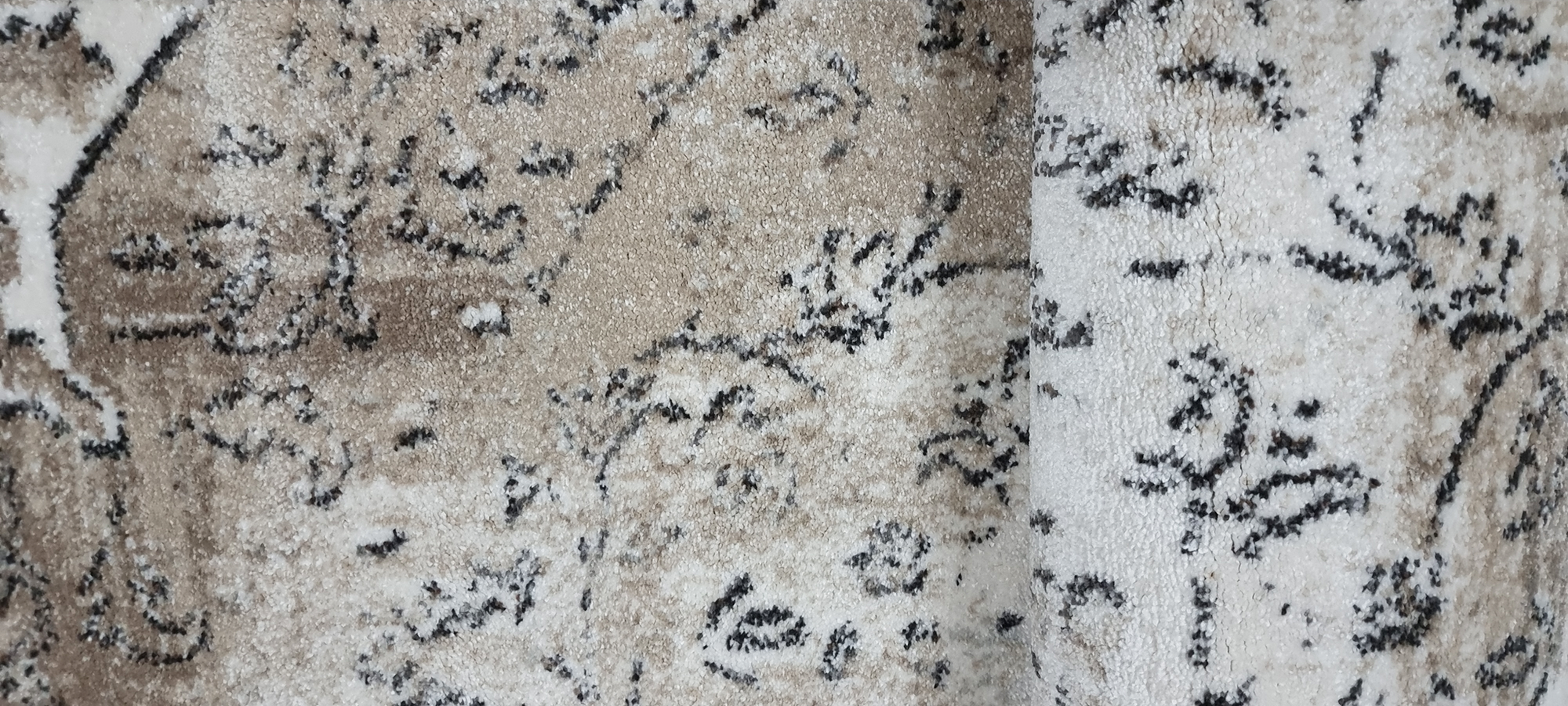 TITAN   365 WHITE / L.BEIGE