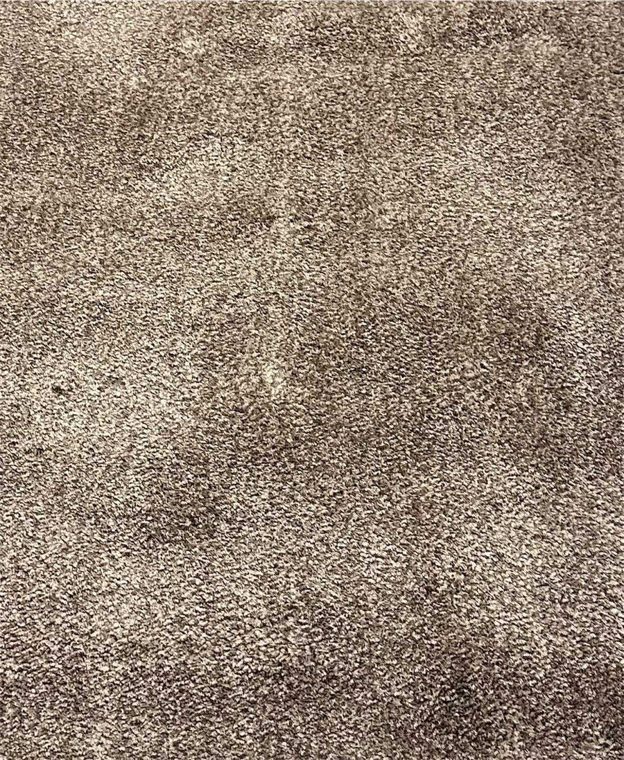 Taupe rug  in living area