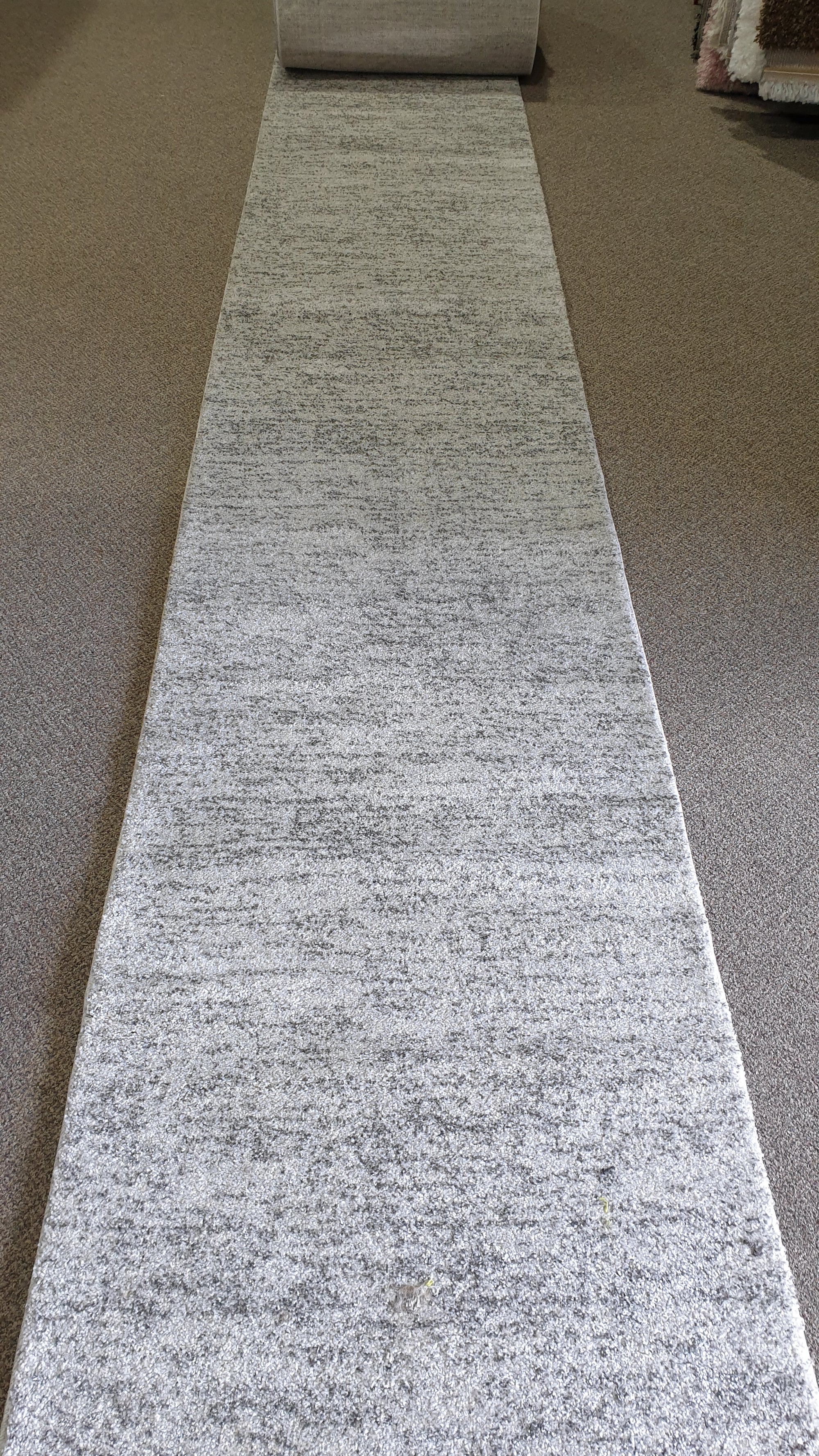 PARMA-A 055 L.GREY/L.GREY