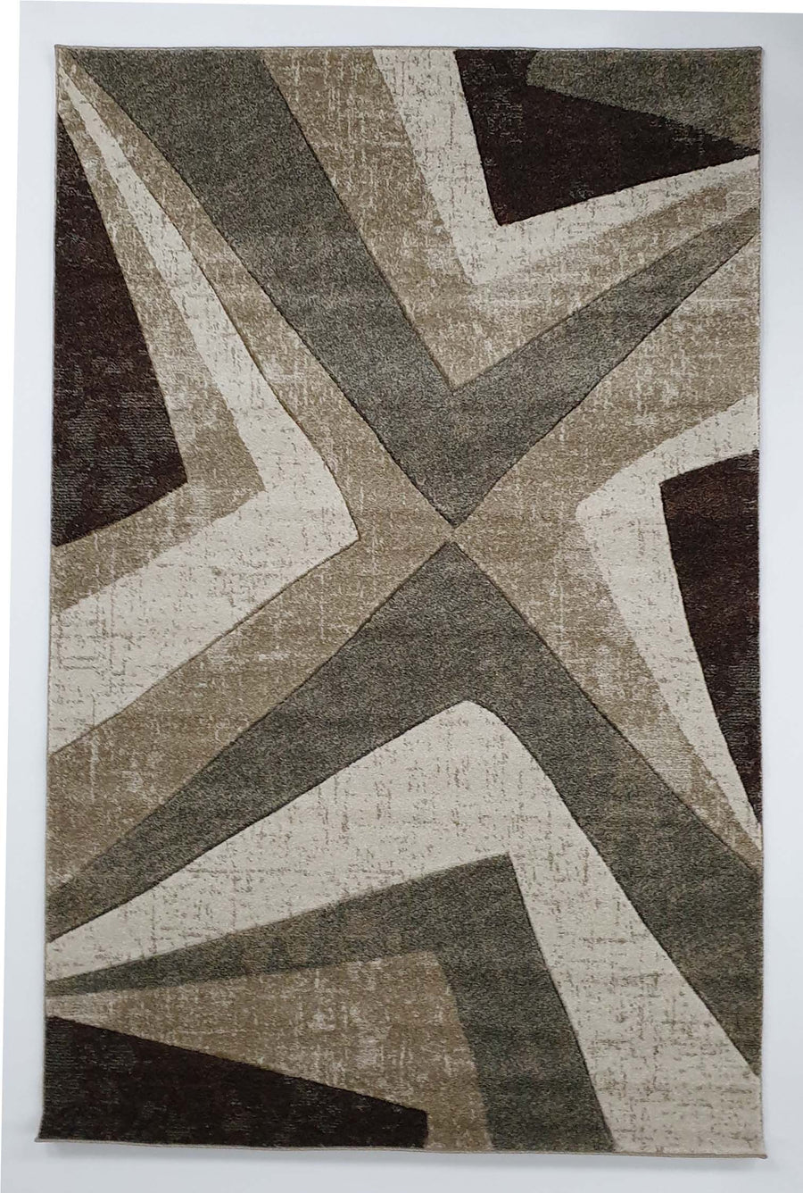 Omega  C585A-FLD67 BEIGE/FUME