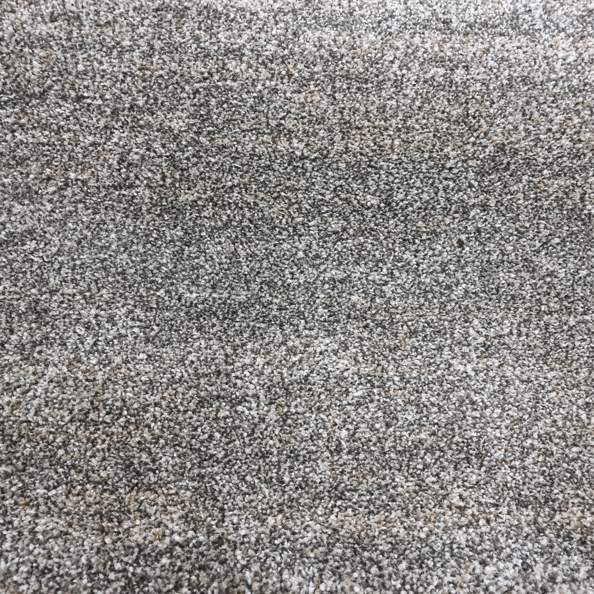 Bonita 882 Fume/Beige