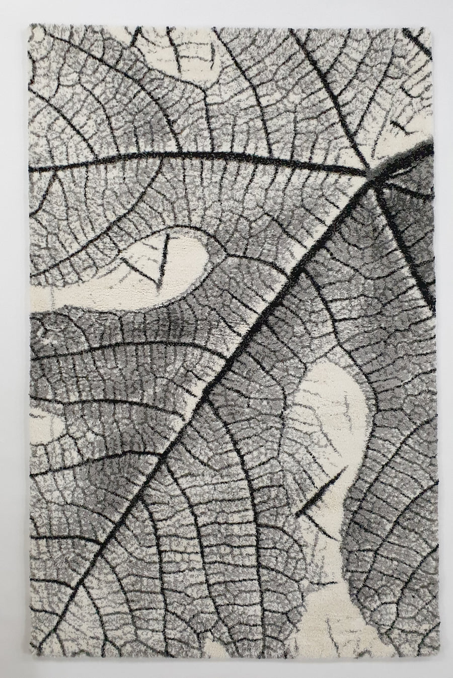 Sophia  9581 L.grey/L.grey