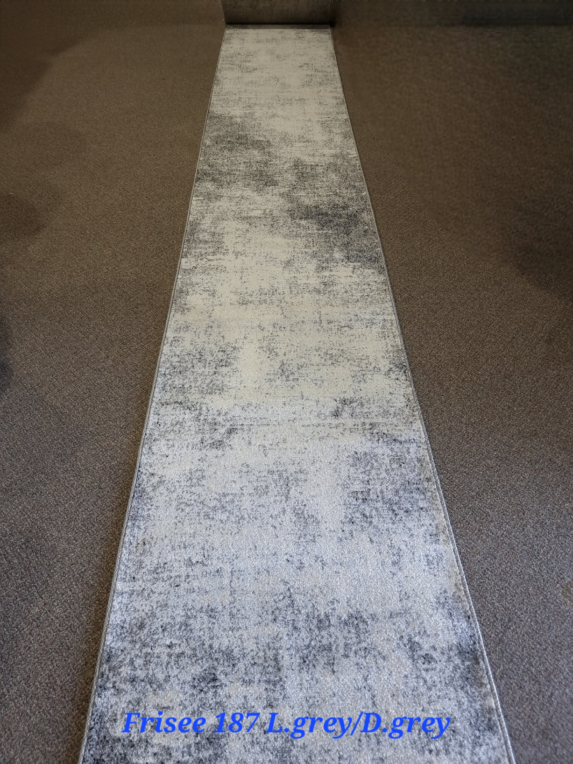 Frisee  187 L.GREY/D.GREY