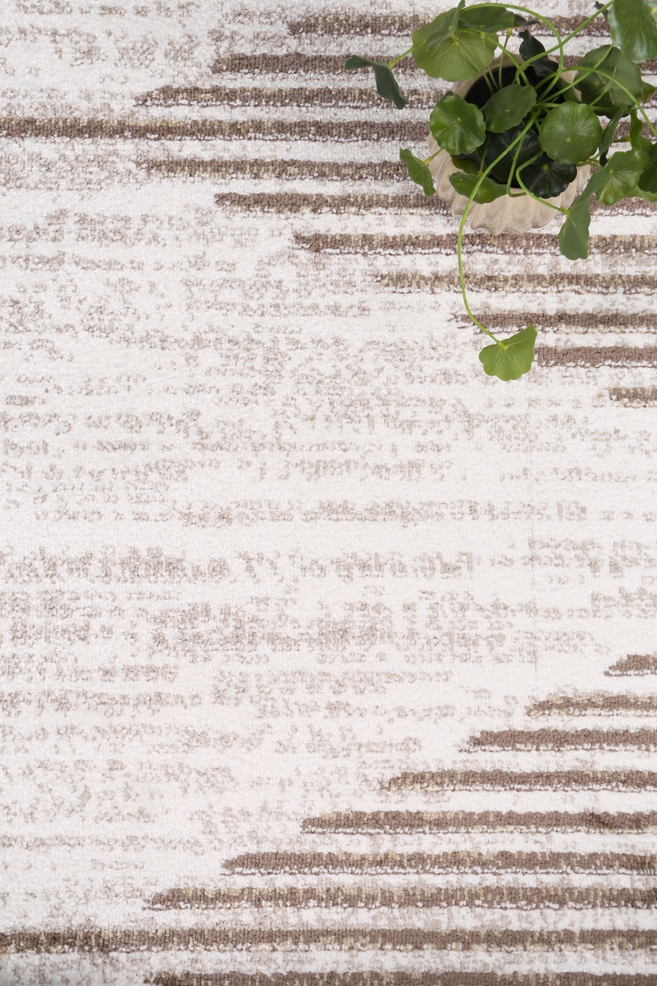 KIMBERLEY KIMB 3 LATTE