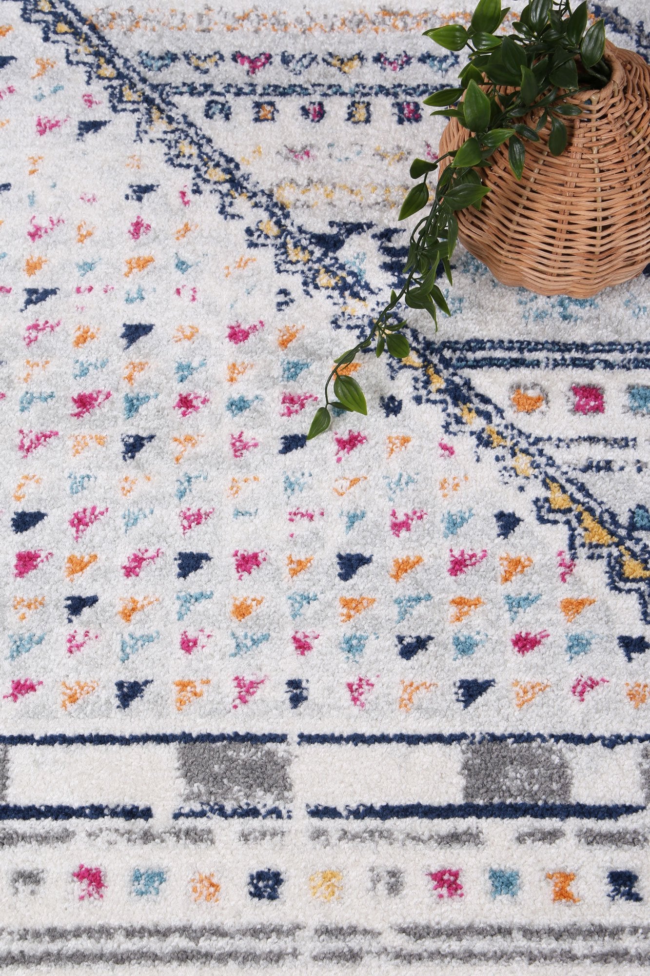 Provence 7 Multi Tribal