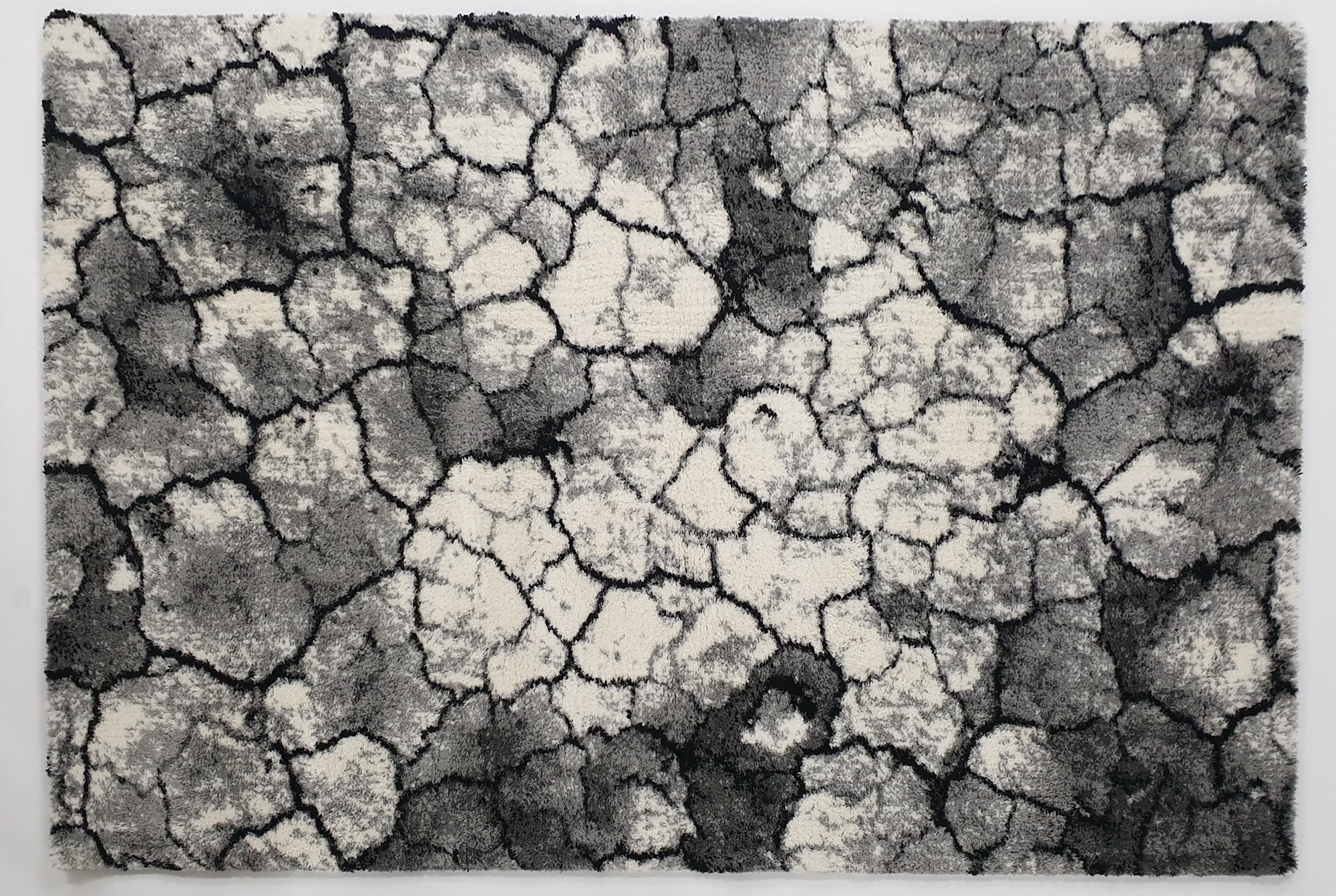 Sophia  6467 WHITE/WHITE